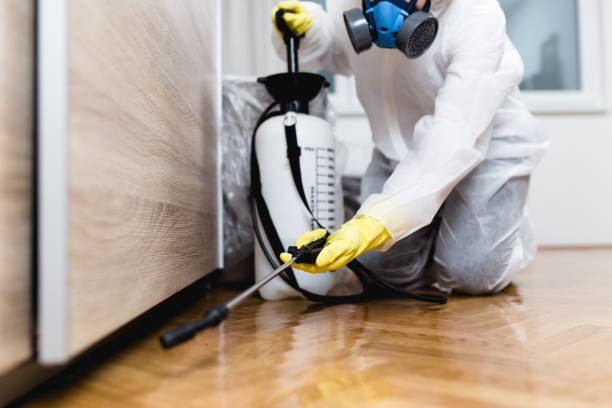 Best Pest Control for Homes  in Edmundson, MO