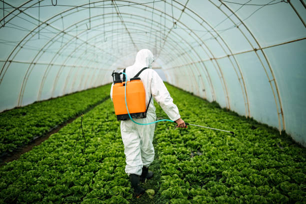 Best Pest Prevention Services  in Edmundson, MO