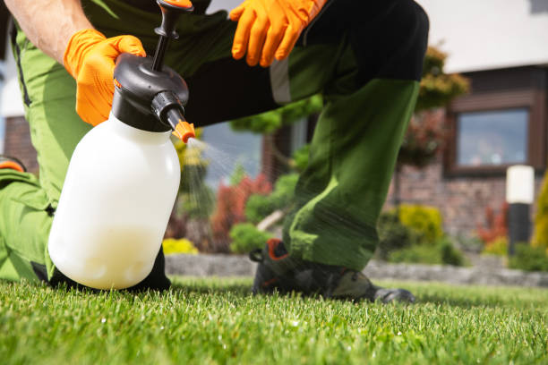 Best Affordable Pest Control Services  in Edmundson, MO