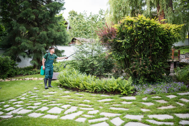 Best Wasp Removal Services  in Edmundson, MO
