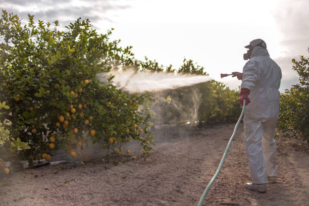 Best Pest Control Treatment  in Edmundson, MO
