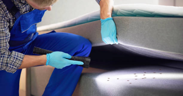 Best Pest Removal Services  in Edmundson, MO