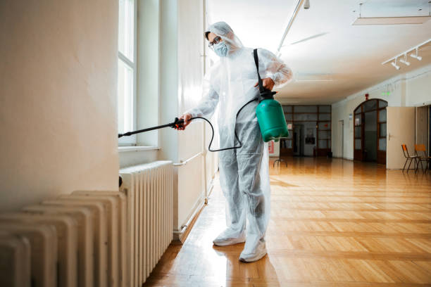 Reliable Edmundson, MO Pest Control Solutions