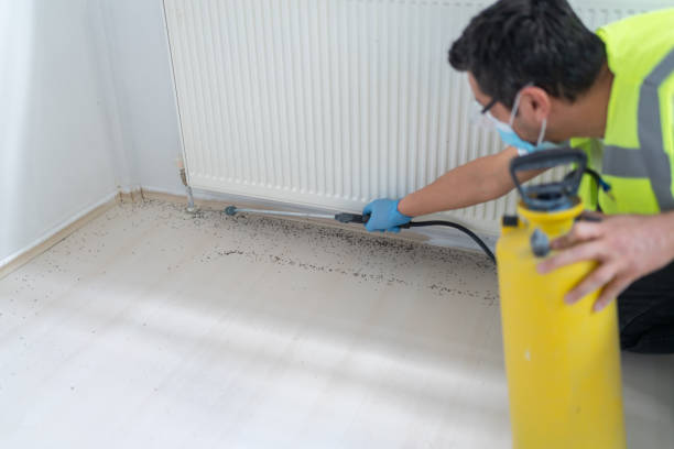 Best Pest Control for Businesses  in Edmundson, MO